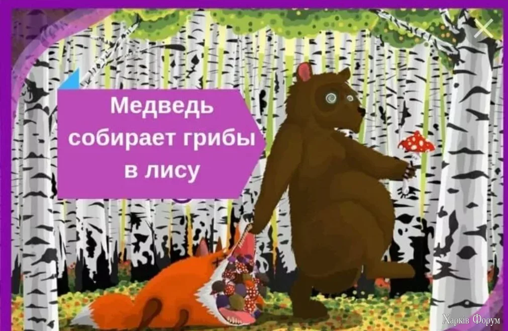 1740568816877.webp