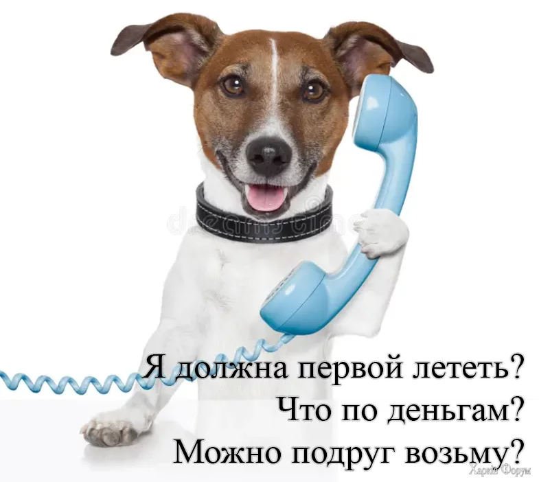 1740598605727.png