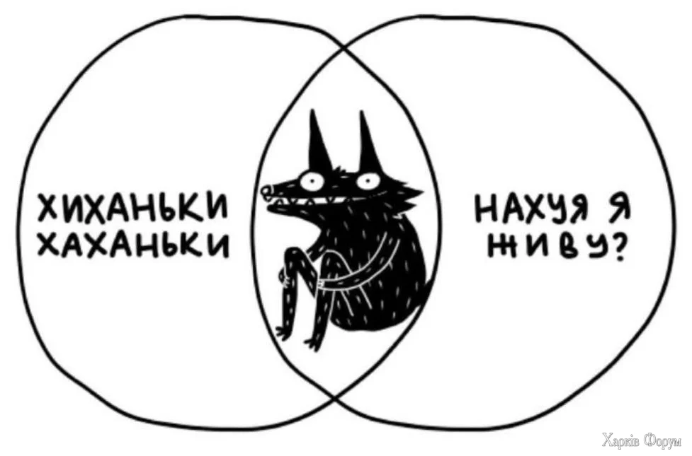 1740599377086.webp
