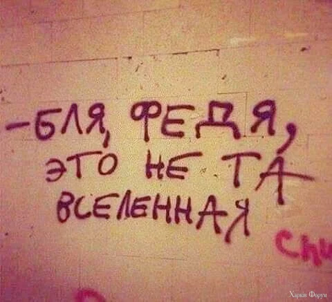 1740600639723.webp