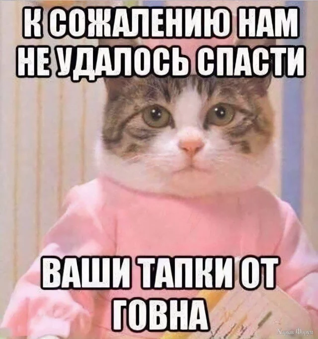 1740657362-mixnews-acc46bf0d48ea6d38778f626cb9b6cb4.webp