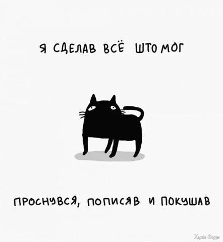 1740851222238.webp