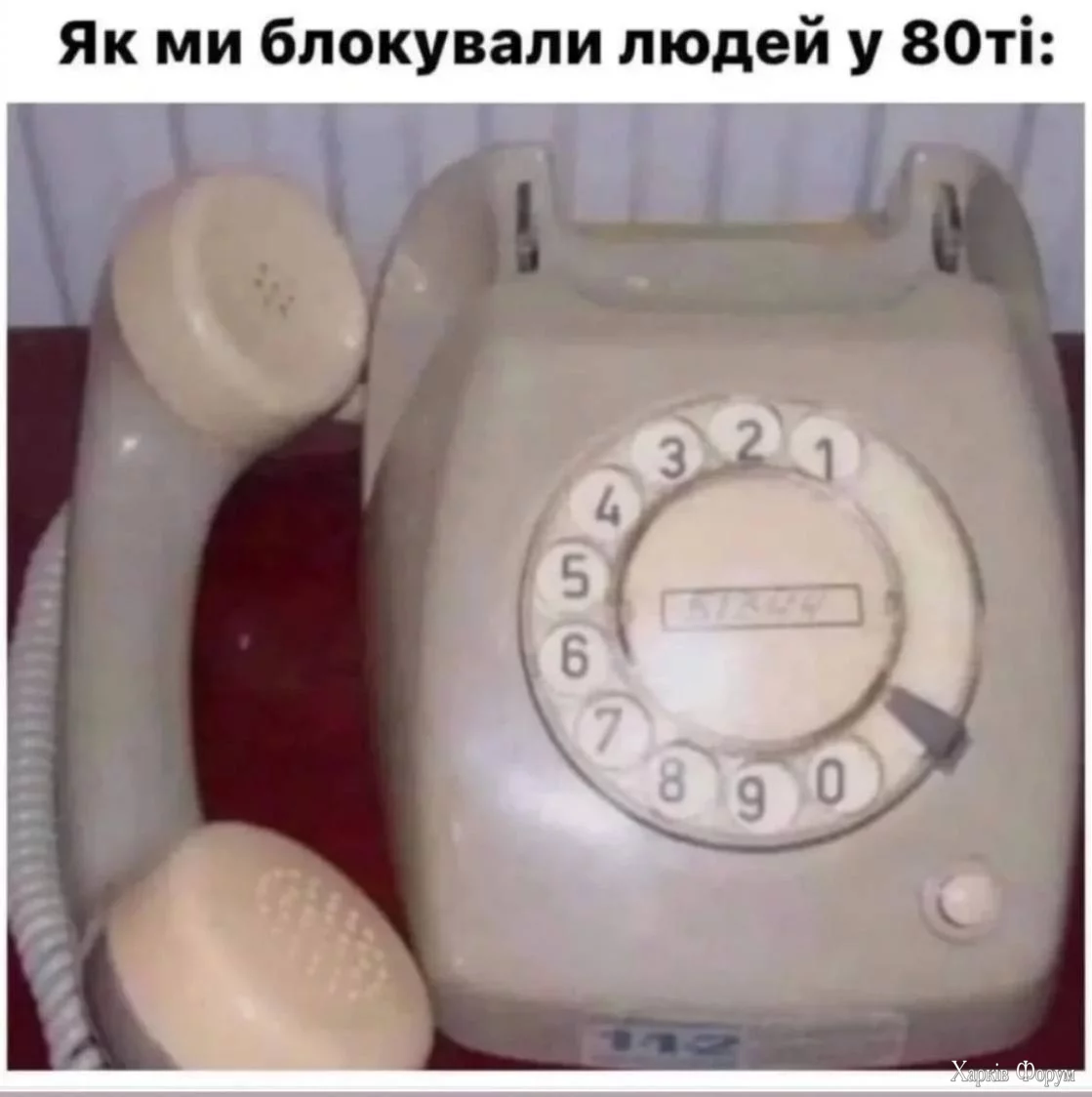 1740938016537.webp