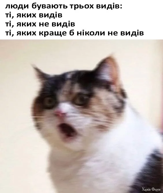 1740943723429.webp
