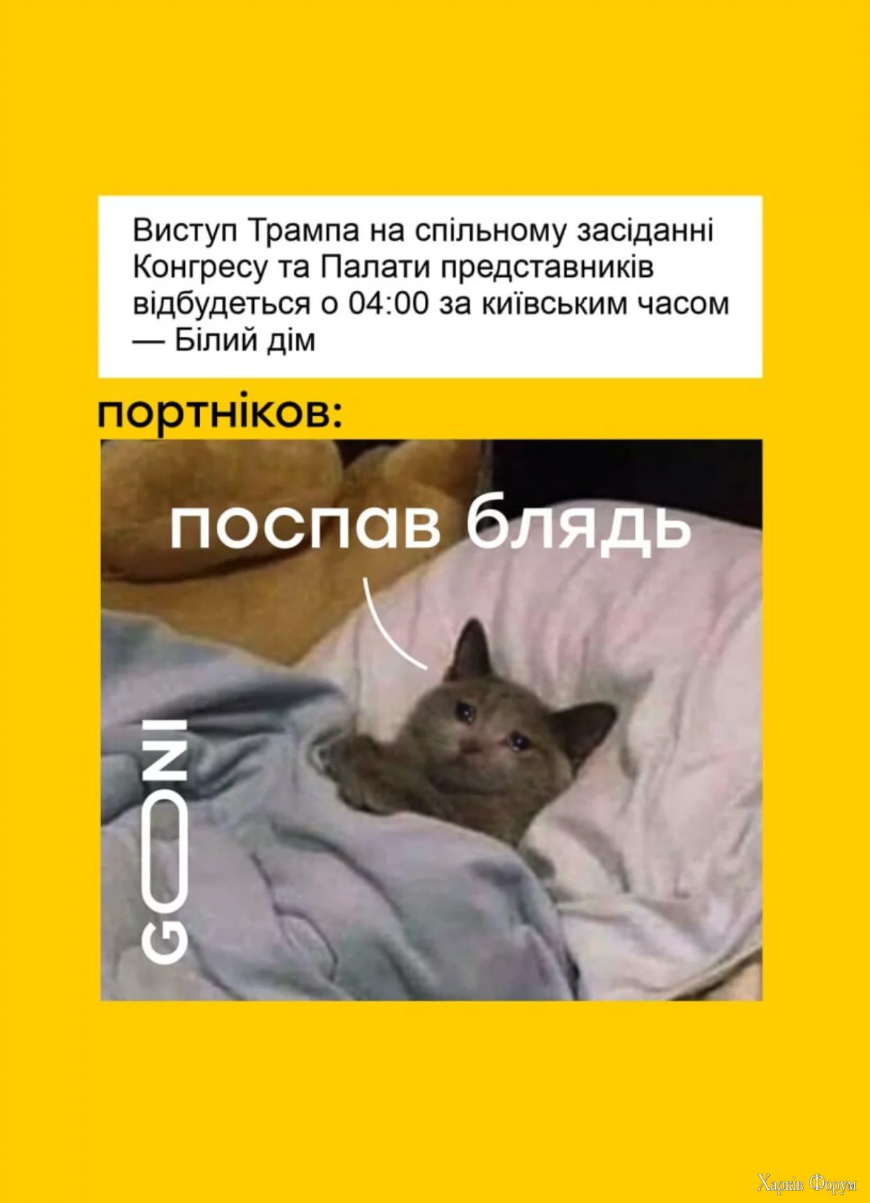 1741032815236.webp