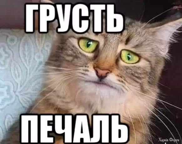1741127173471.webp