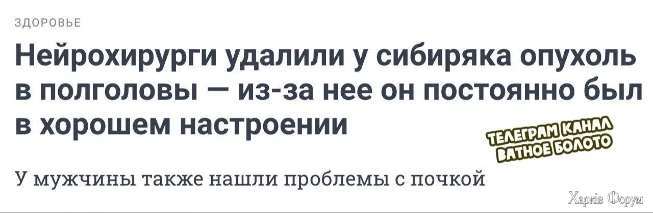 1741537259933.webp