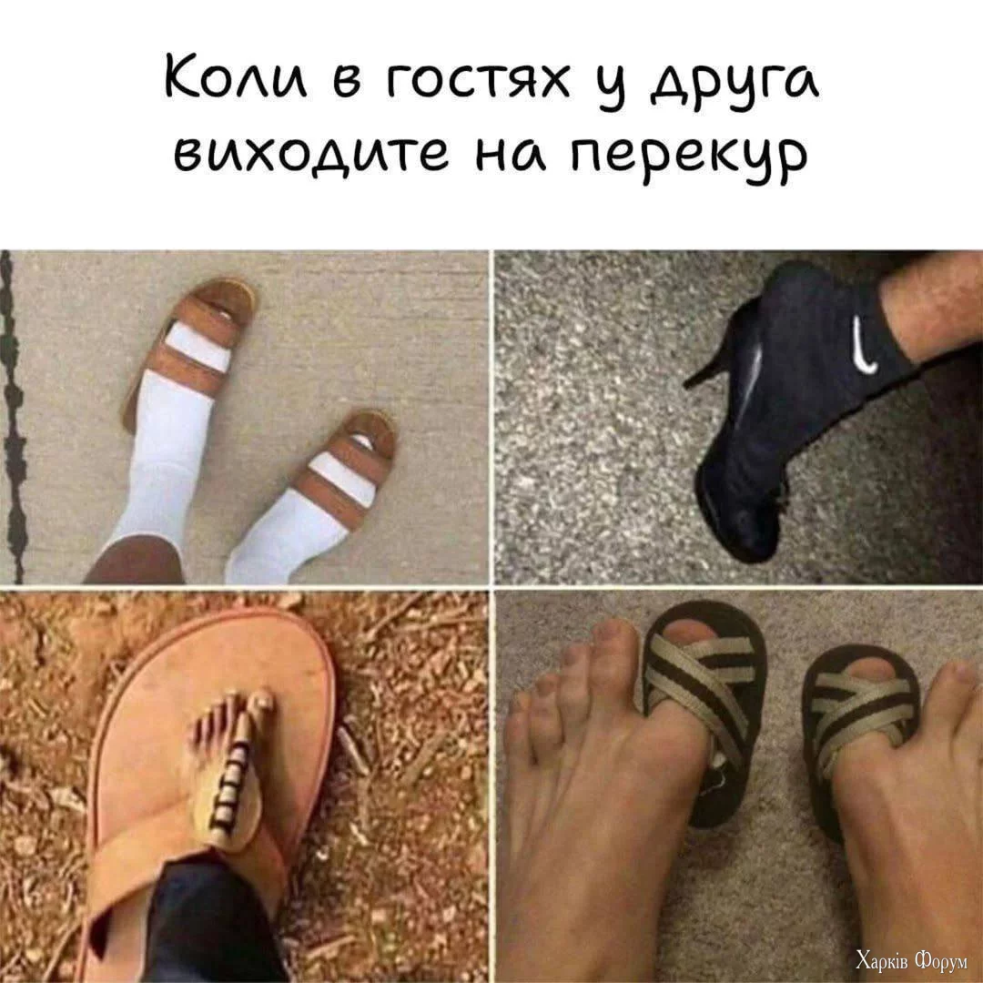 1741587677253.webp