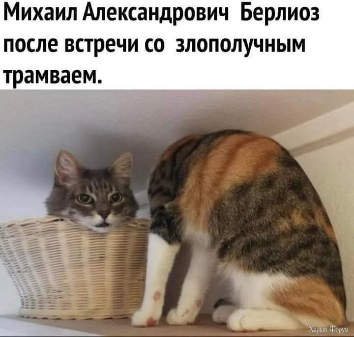 1741636030316.webp