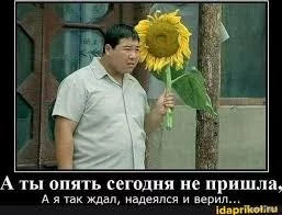 1741770238419.webp