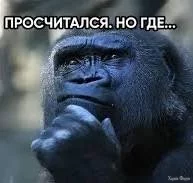 1741775349794.webp