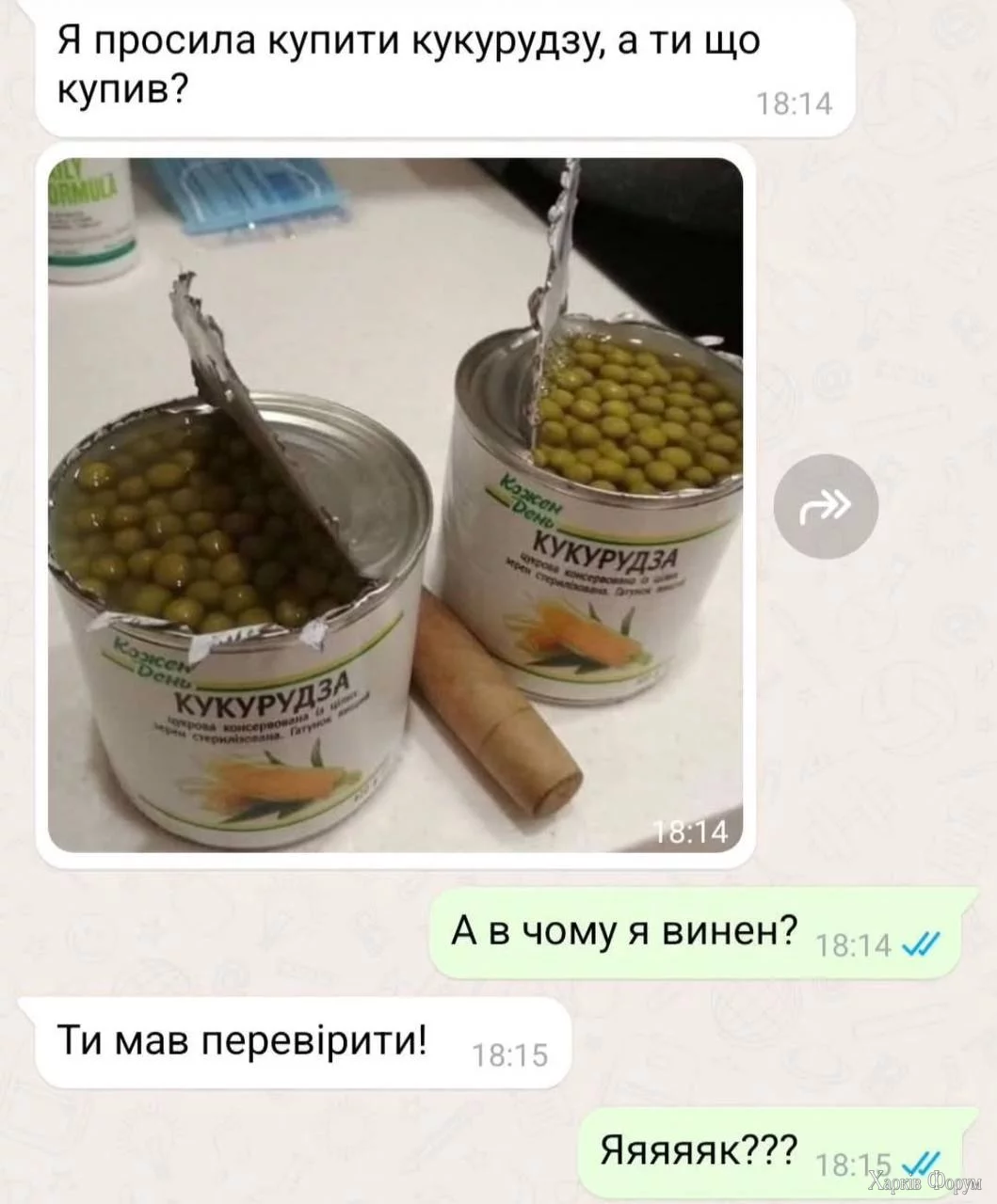 1742486410336.webp