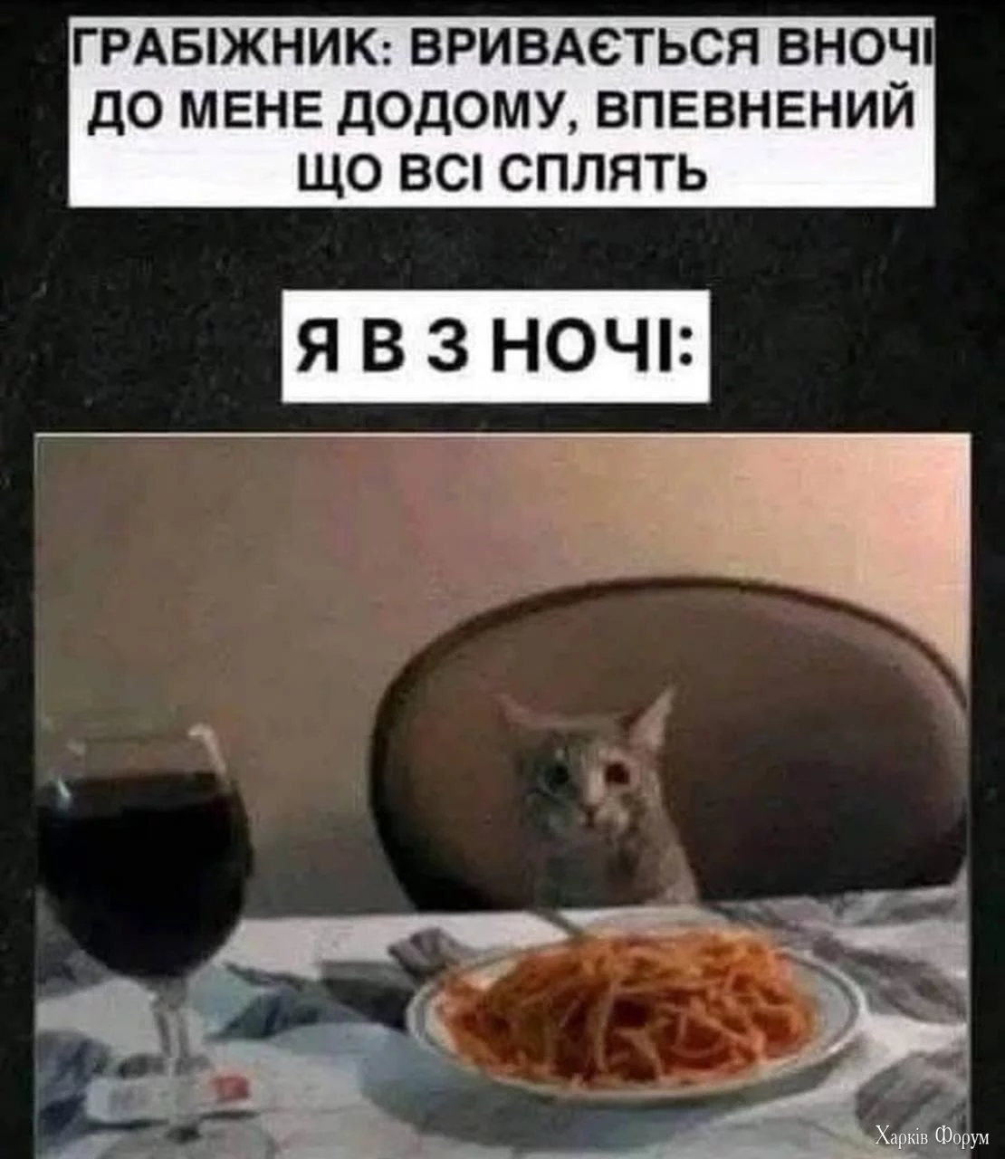 1742497830070.webp