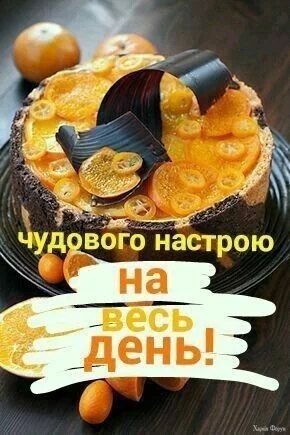 1742526838133.webp