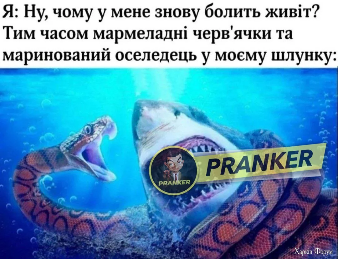 1742582127150.webp