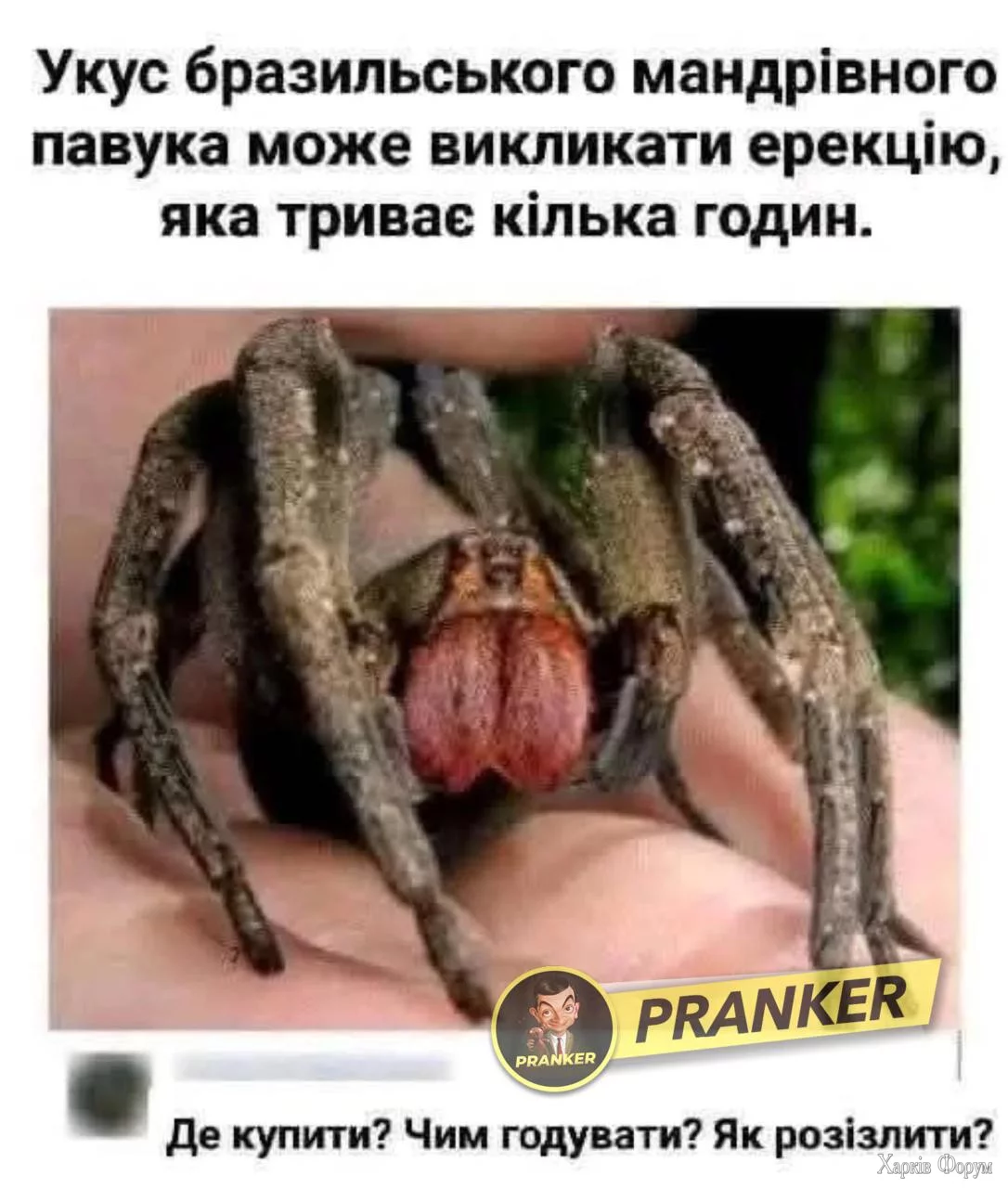 1742643204575.webp