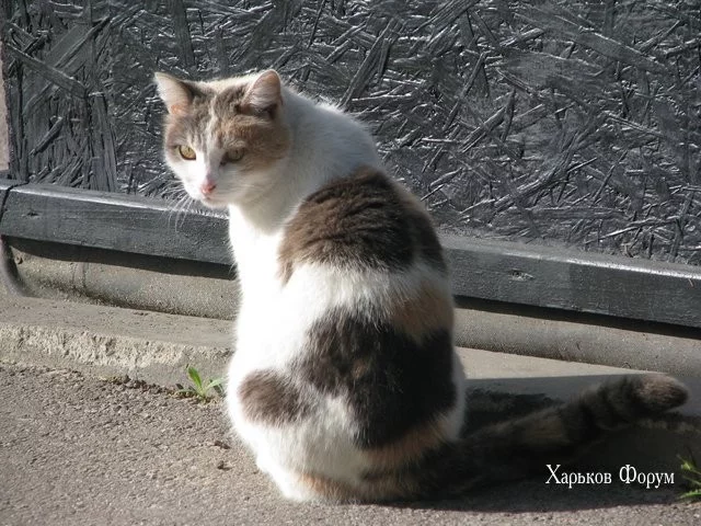 1742669b7a15ee4e9.webp