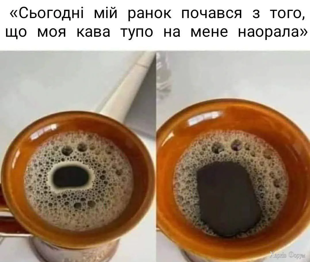 1742713594401.webp