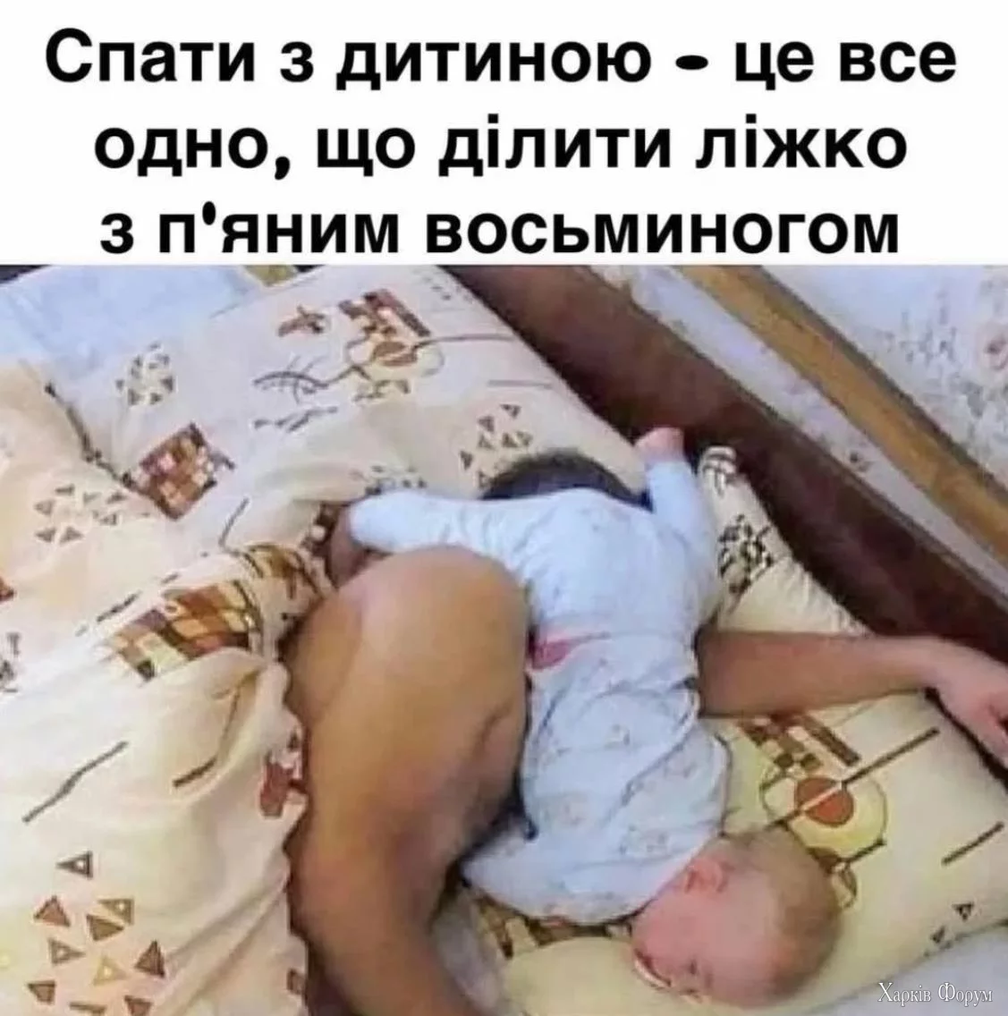 1742757080903.webp