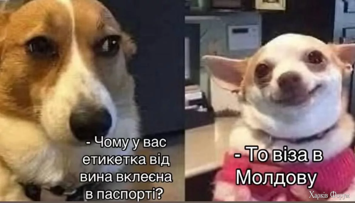 1742827219125.webp