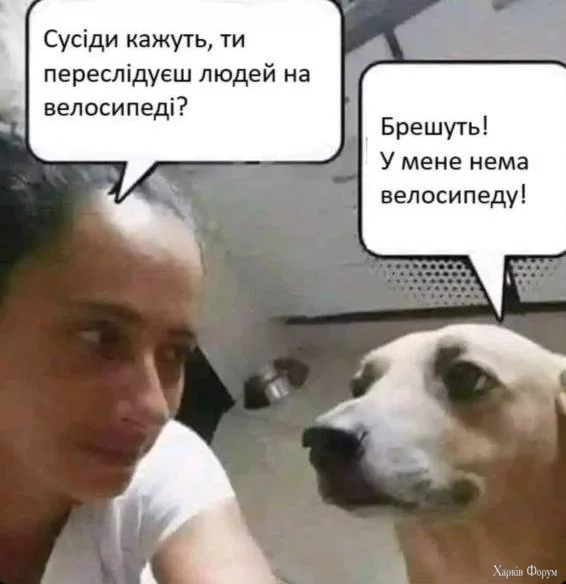 1742994534668.webp