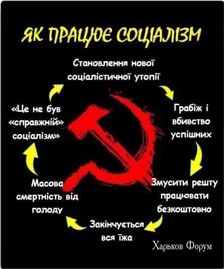 17429e0efad40be31aa02f.webp