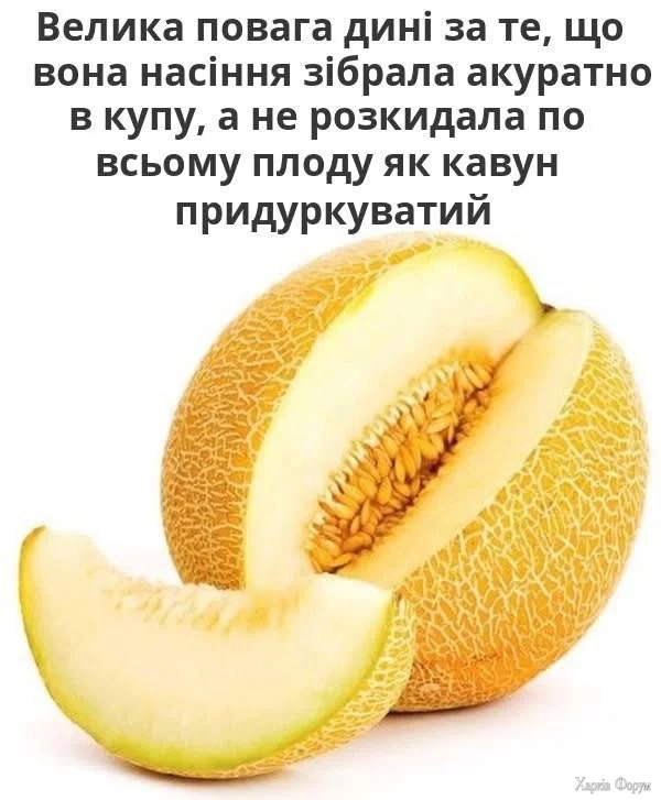 1743025033480.webp