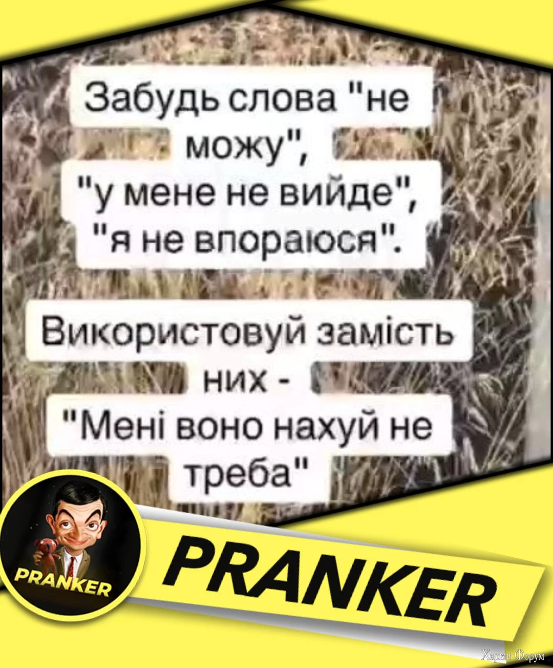 1743083449530.webp