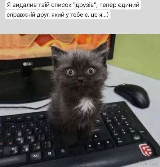 1743104900479.webp