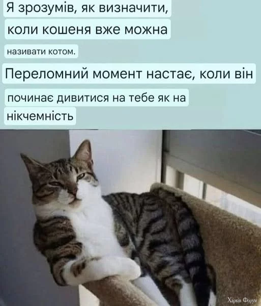 1743104921700.webp