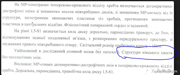 1743343215758.webp