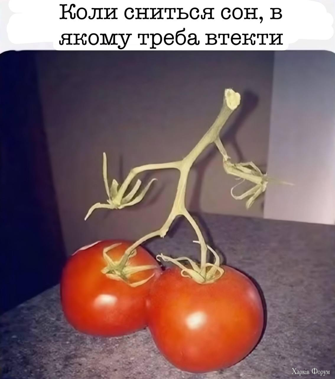 1743450914219.png