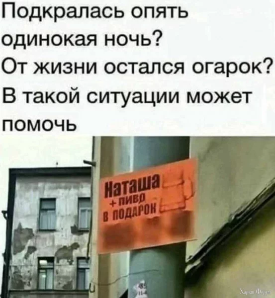 1743547515719.webp