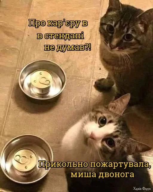 1743596280866.webp