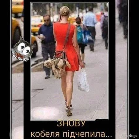 1743733271929.webp