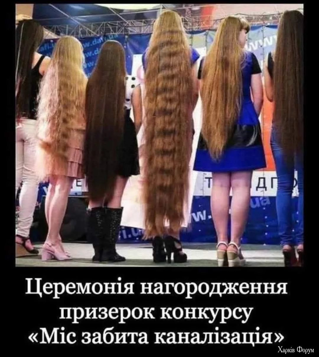 1743748043078.webp