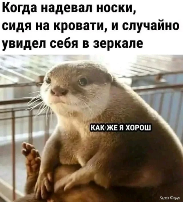 1743772288-mixnews-9414a8f5b810972c3c9a0e2860c07532.webp