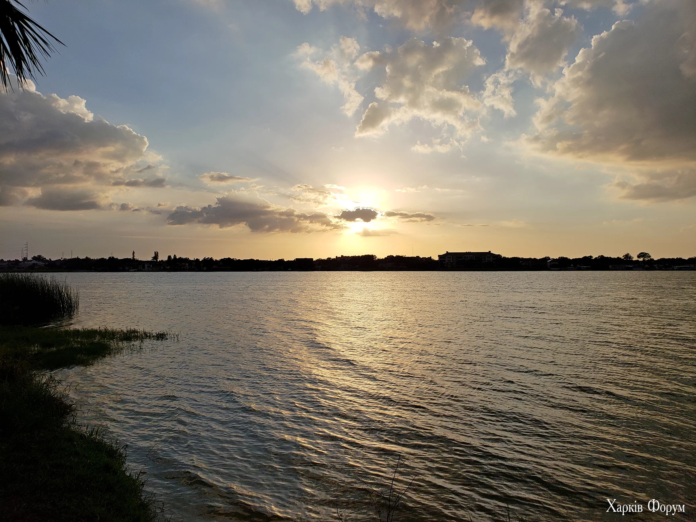 1743804447641.webp