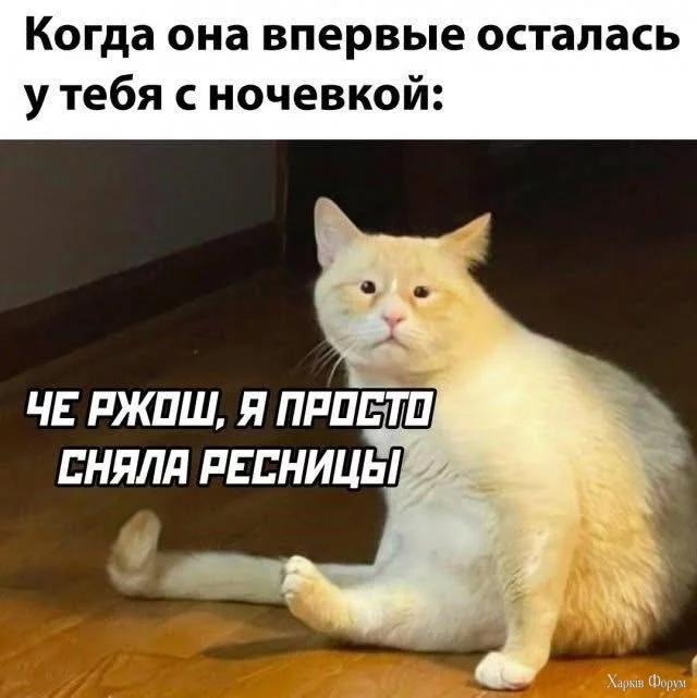 1743862322-mixnews-e89666feb714ab9c3946f28f00c5d8c4.webp