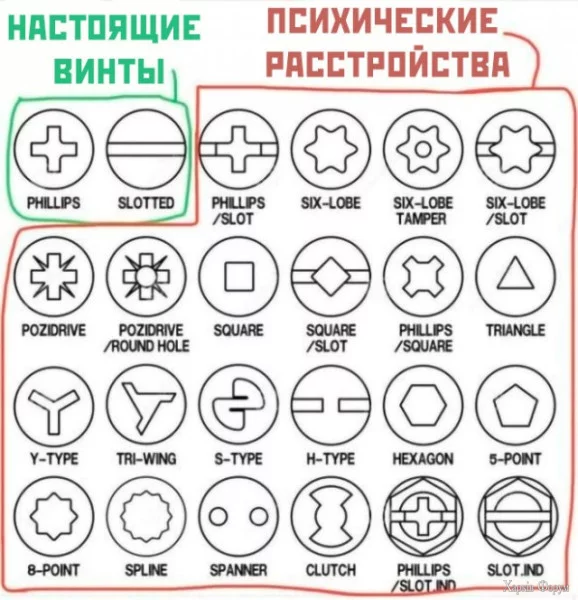 1743888404539.webp
