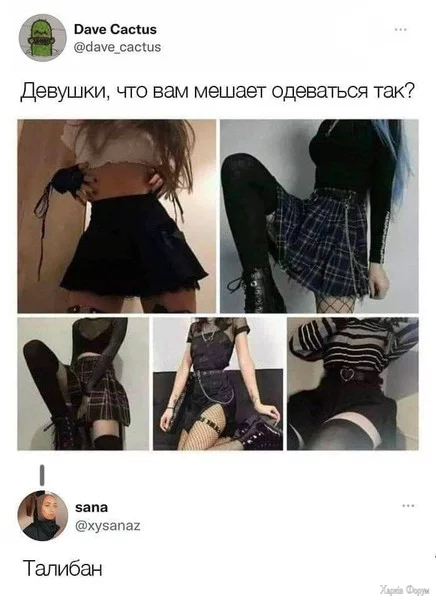 1743981517928.webp