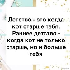 1744021635471.jpeg