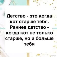 1744021635471.jpeg