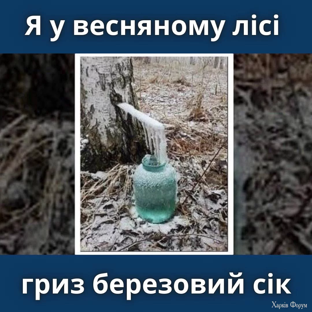 1744273897667.webp