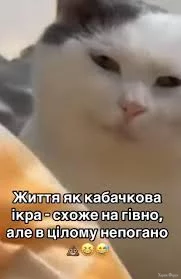 1744297306462.webp