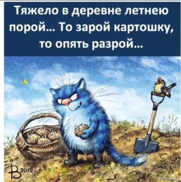 1744495183489.webp