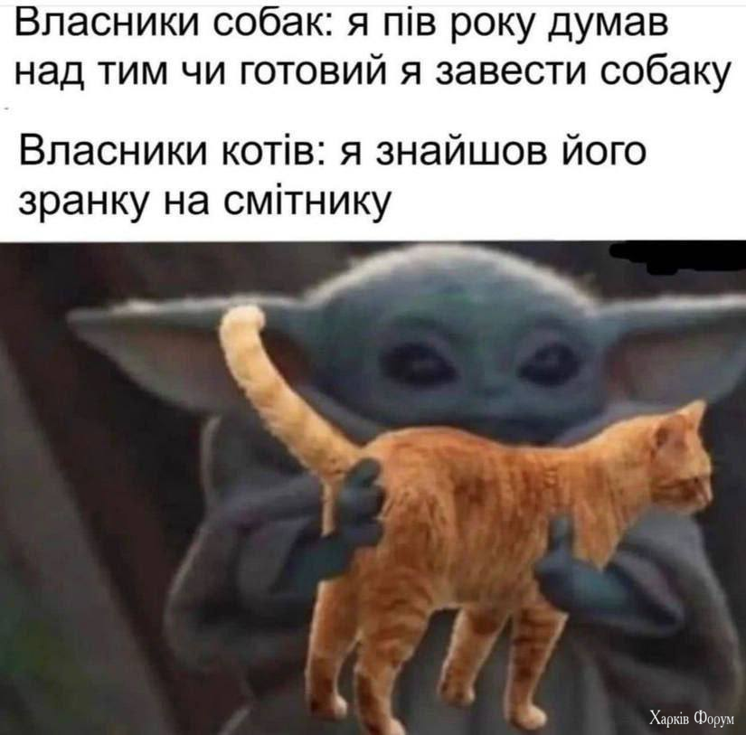1744651617419.png
