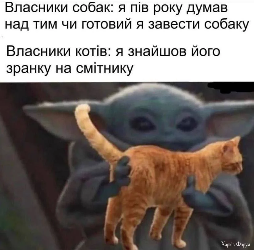 1744651617419.webp