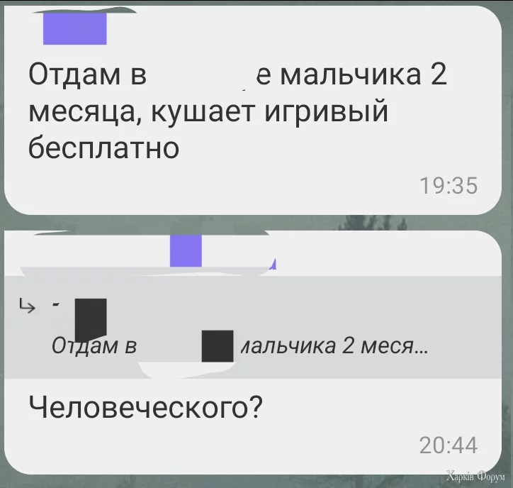 1744656218170.webp