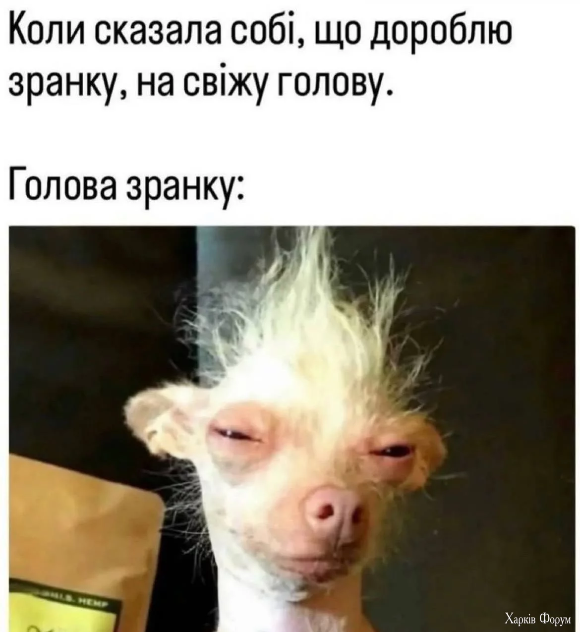 1744697559260.webp